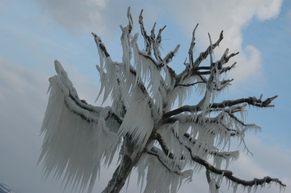 Фоторепортаж, сделанный после шторма на Женевском озере в городке Версуа 